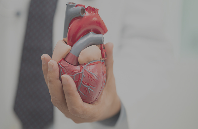 Consulenza cardiologica